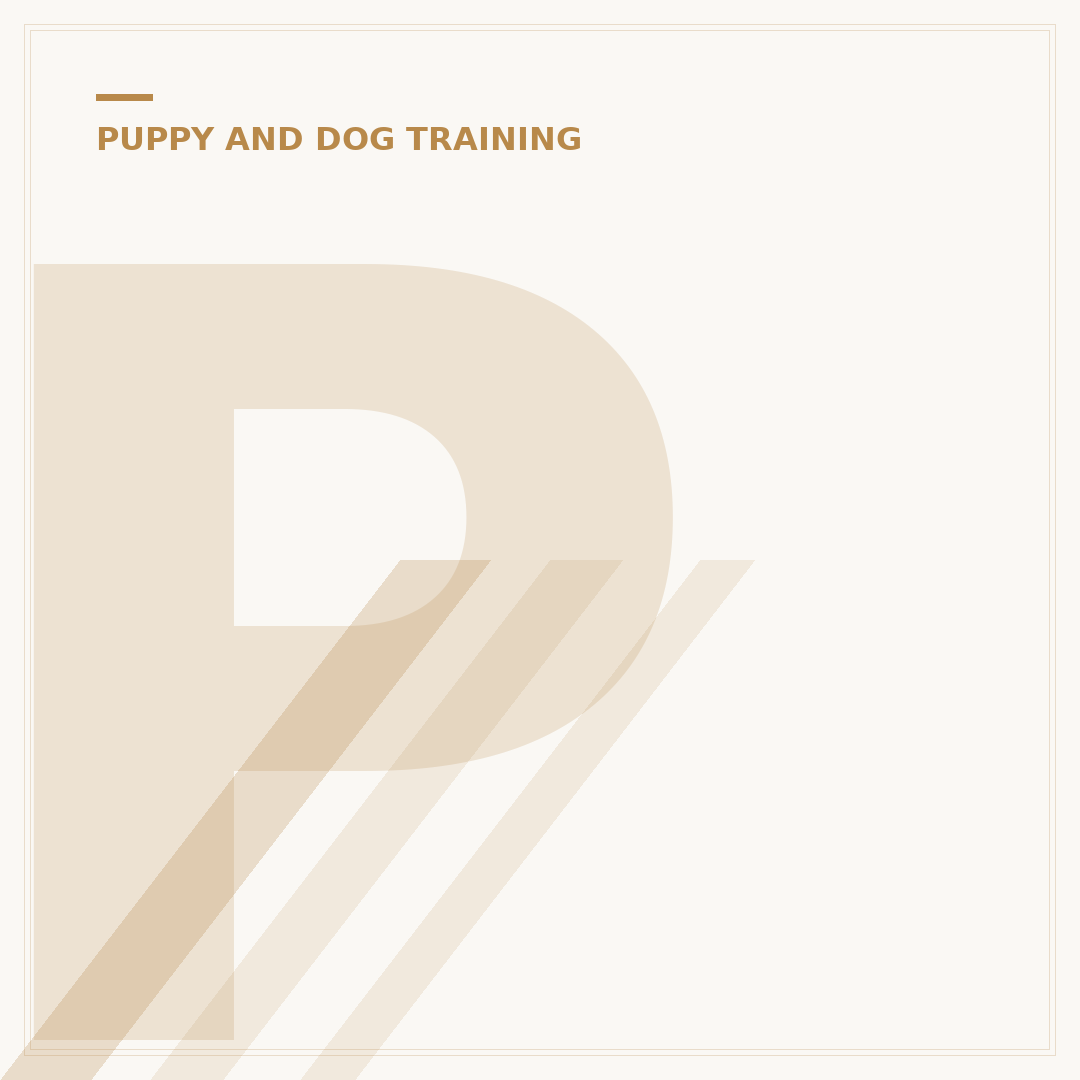 Puppy Potty Training