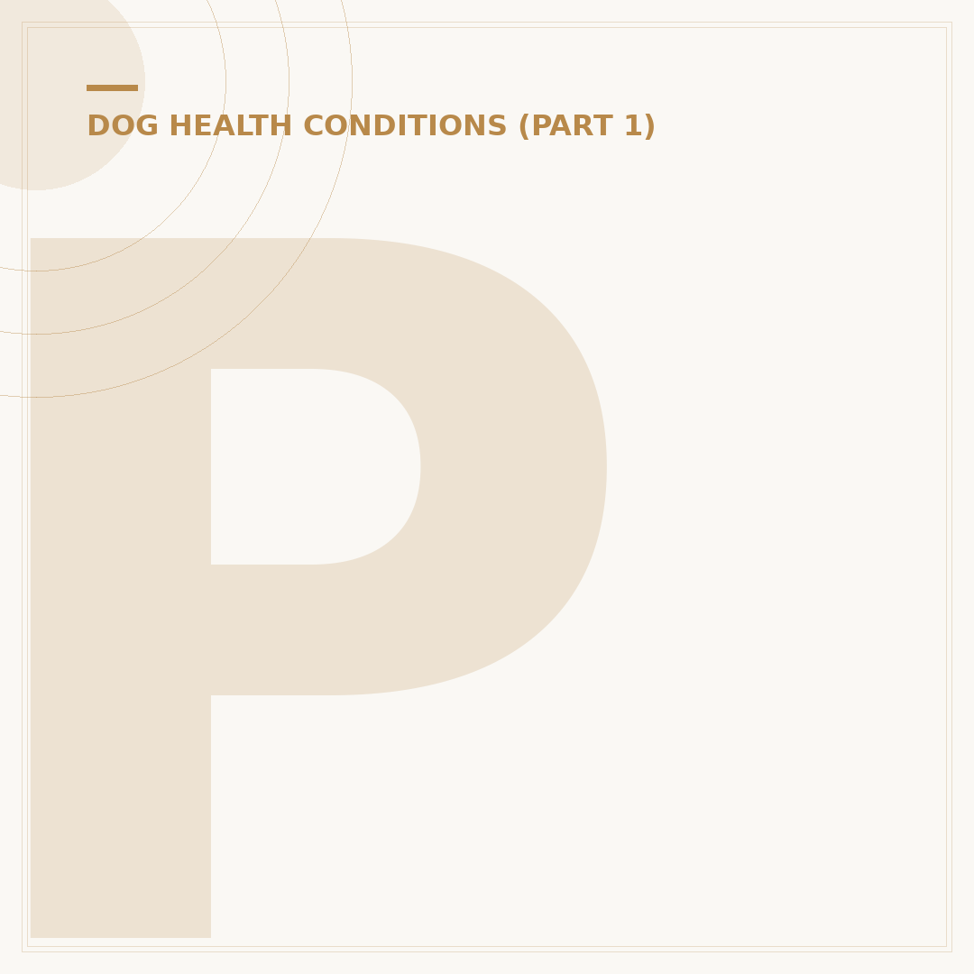 Pyometra Infection in Dogs: Causes, Signs & Treatment