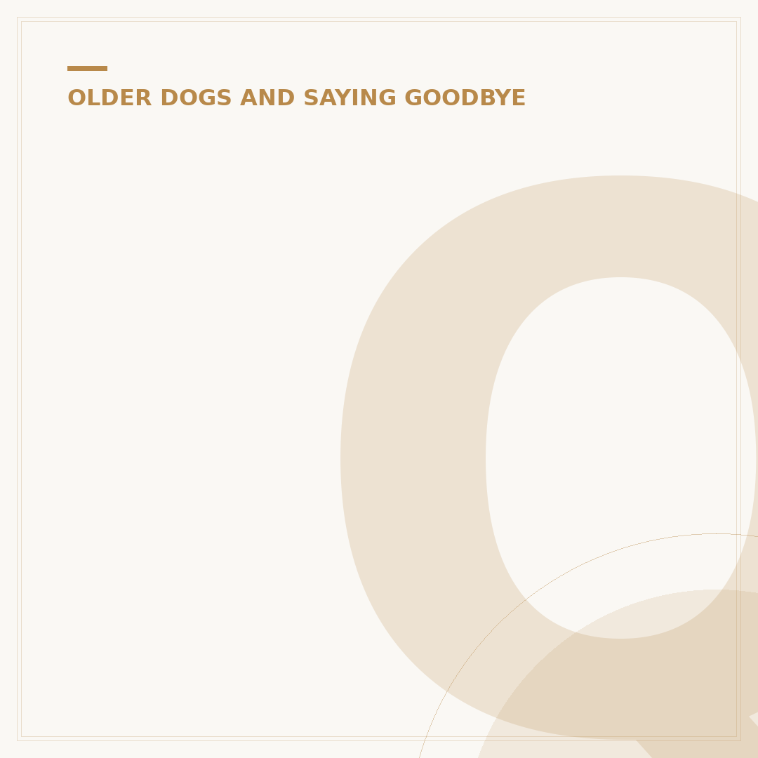 Quality of Life Questionnaire for Dogs: A Vital Tool