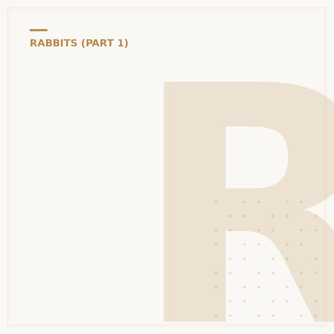 Rabbit Outdoor House: Safe Shelter & Setup
