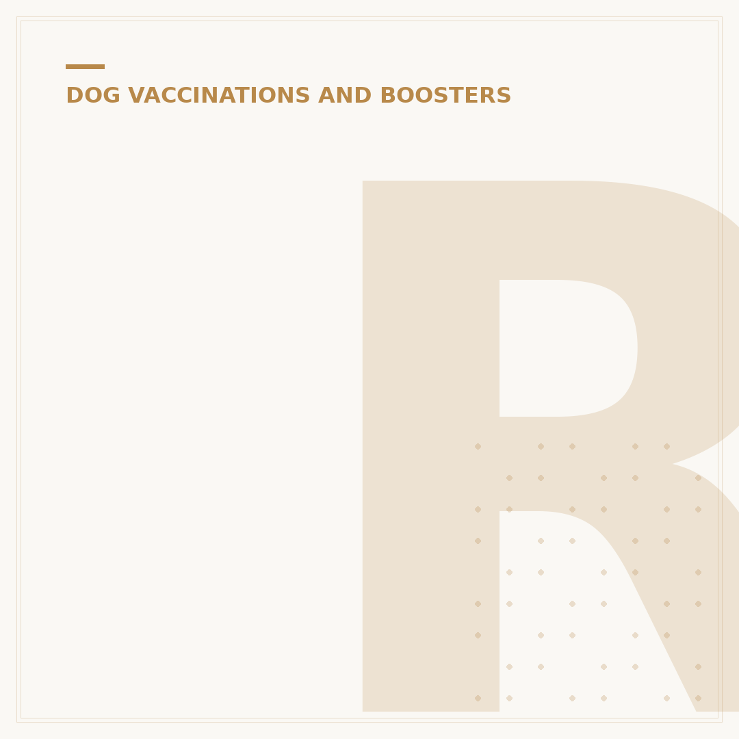 Rabies Inoculation for Dogs: What You Need to Know