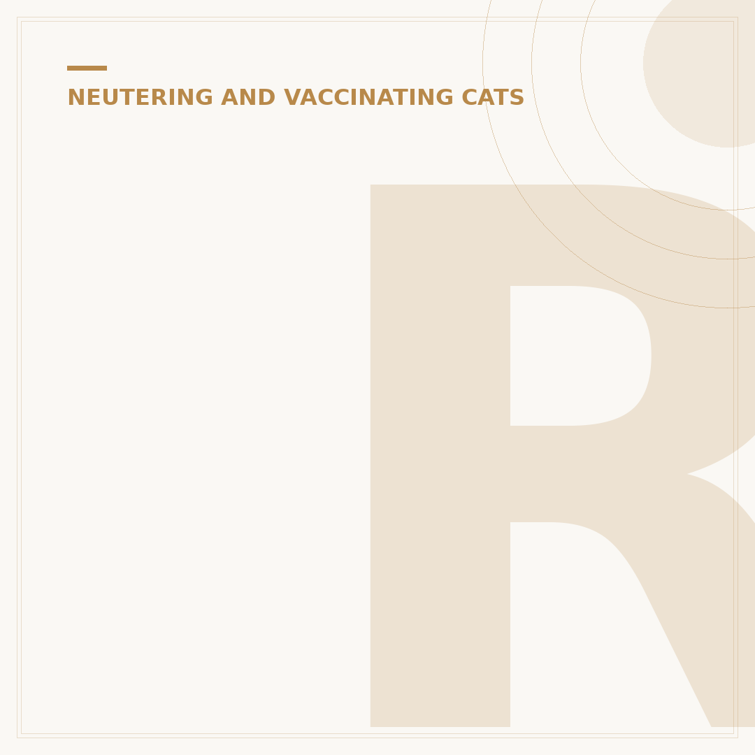 Rabies Vaccine for Cats: What You Need to Know