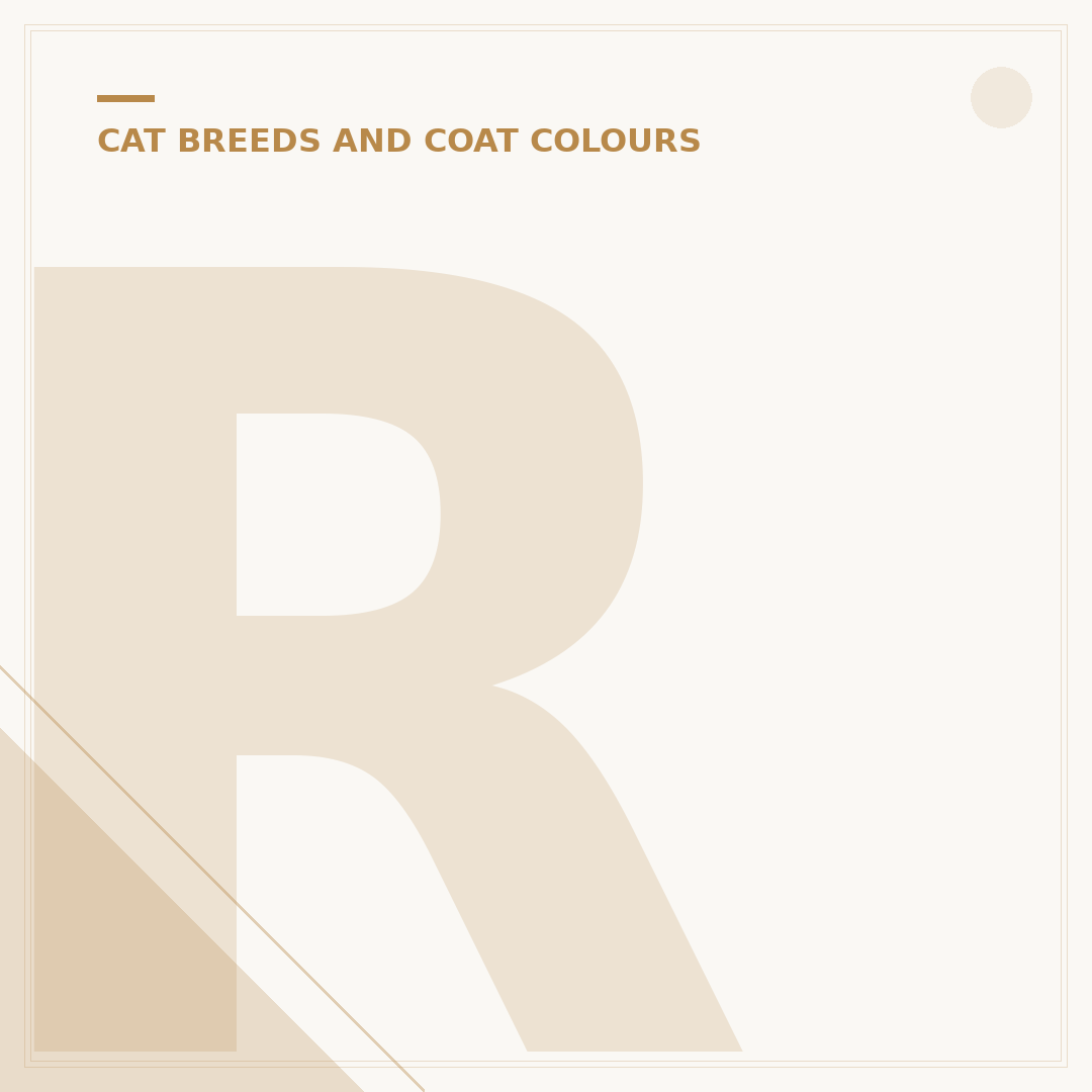 Ragdoll Cat vs Birman: Which Breed is Right for You?