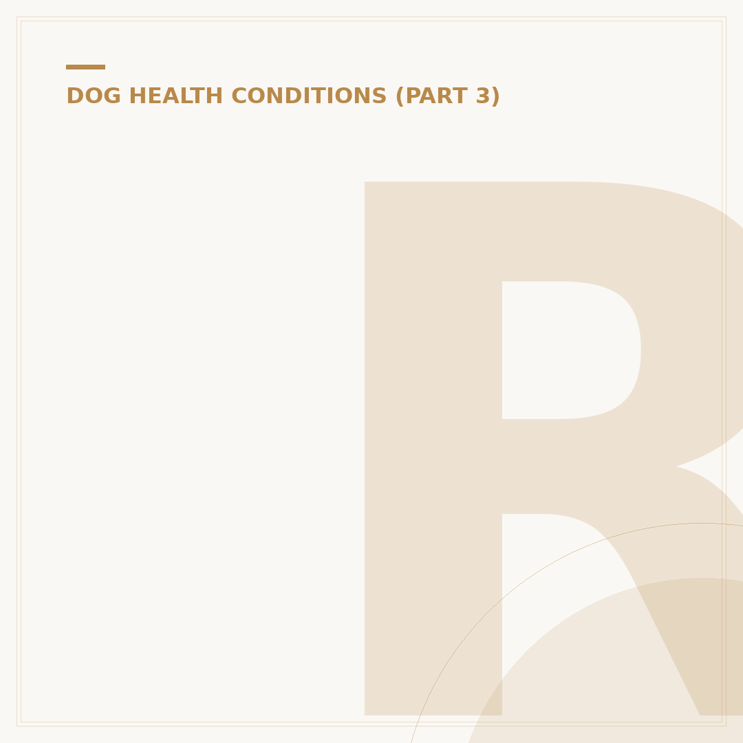 Rage Disorder in Dogs: Causes and Management