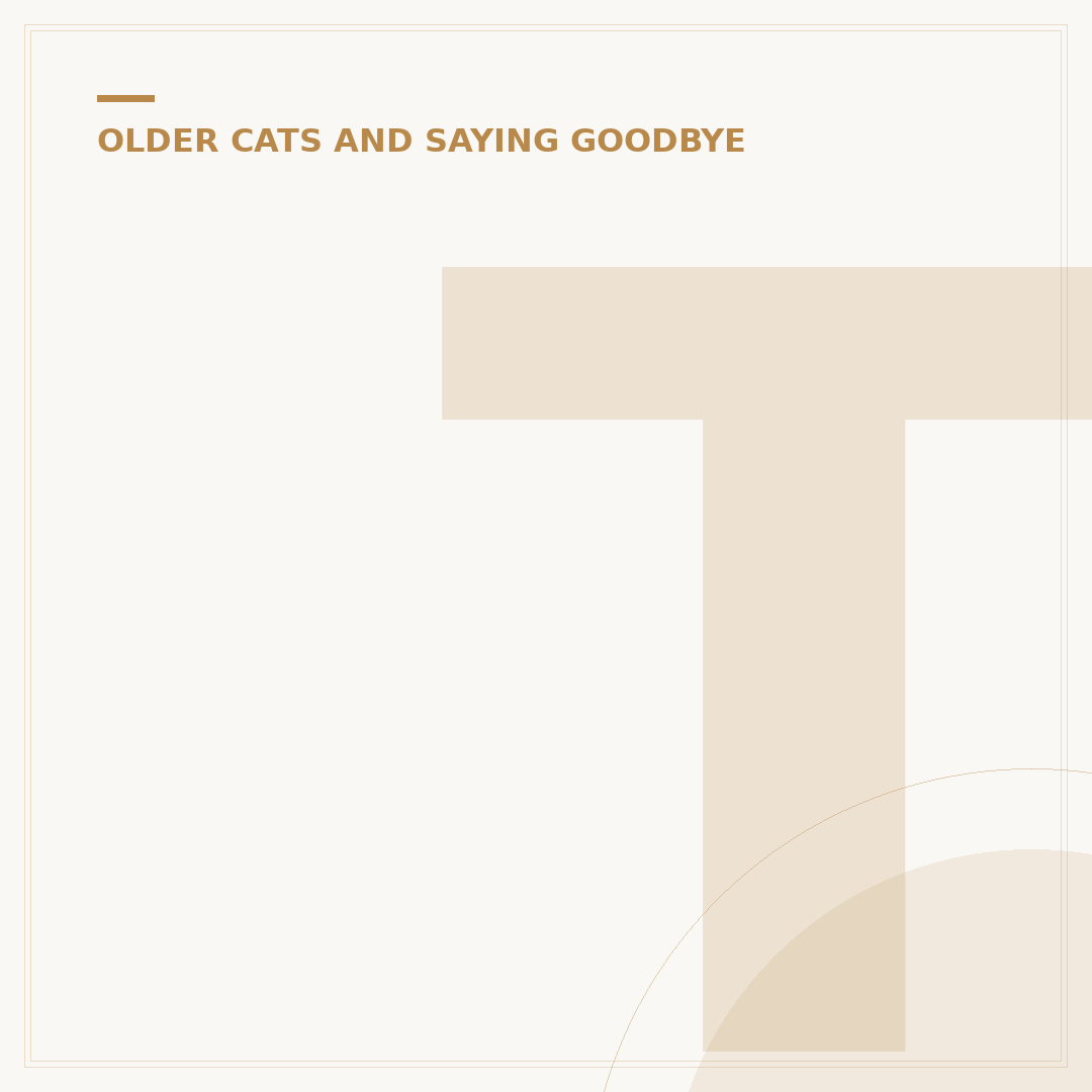 The Rainbow Bridge for Cats: Understanding Pet Loss