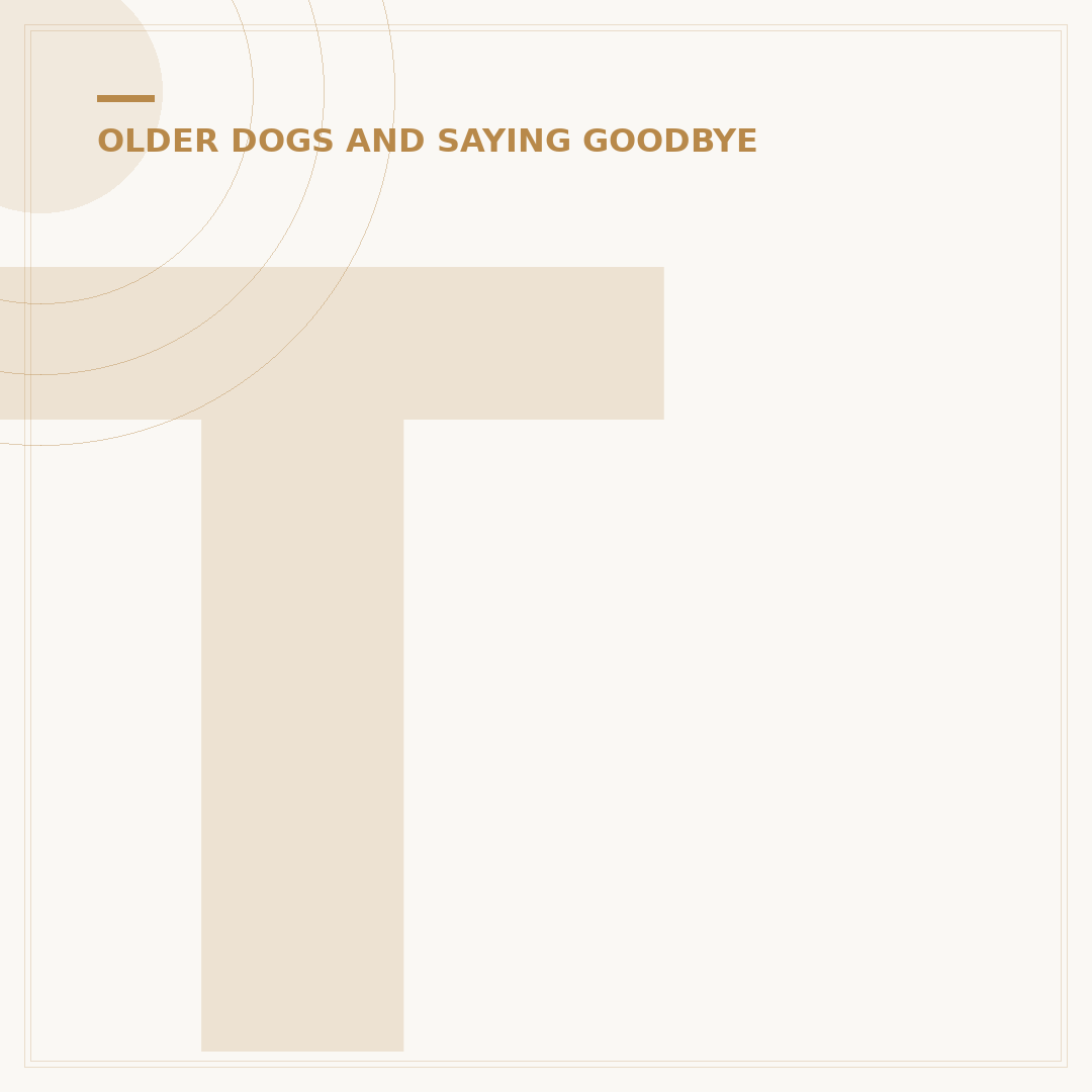 The Rainbow Bridge for Dogs: Understanding Pet Loss