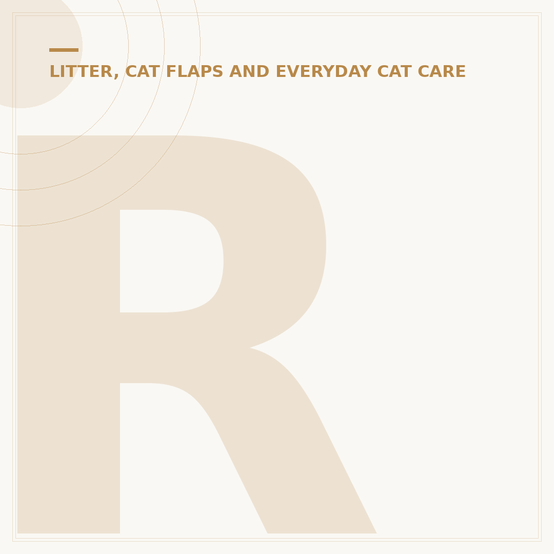 Raised Feeding Bowls for Cats: Benefits and Selection