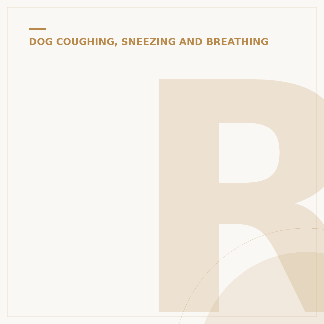 Rapid Breathing in Dogs: Causes and What to Do