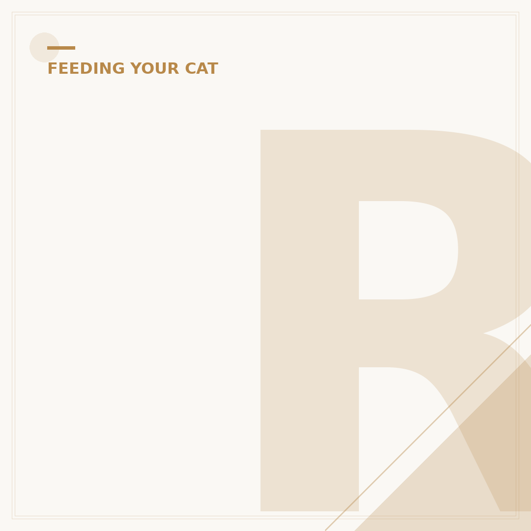 Raw Diet for Cats: Getting Started Safely