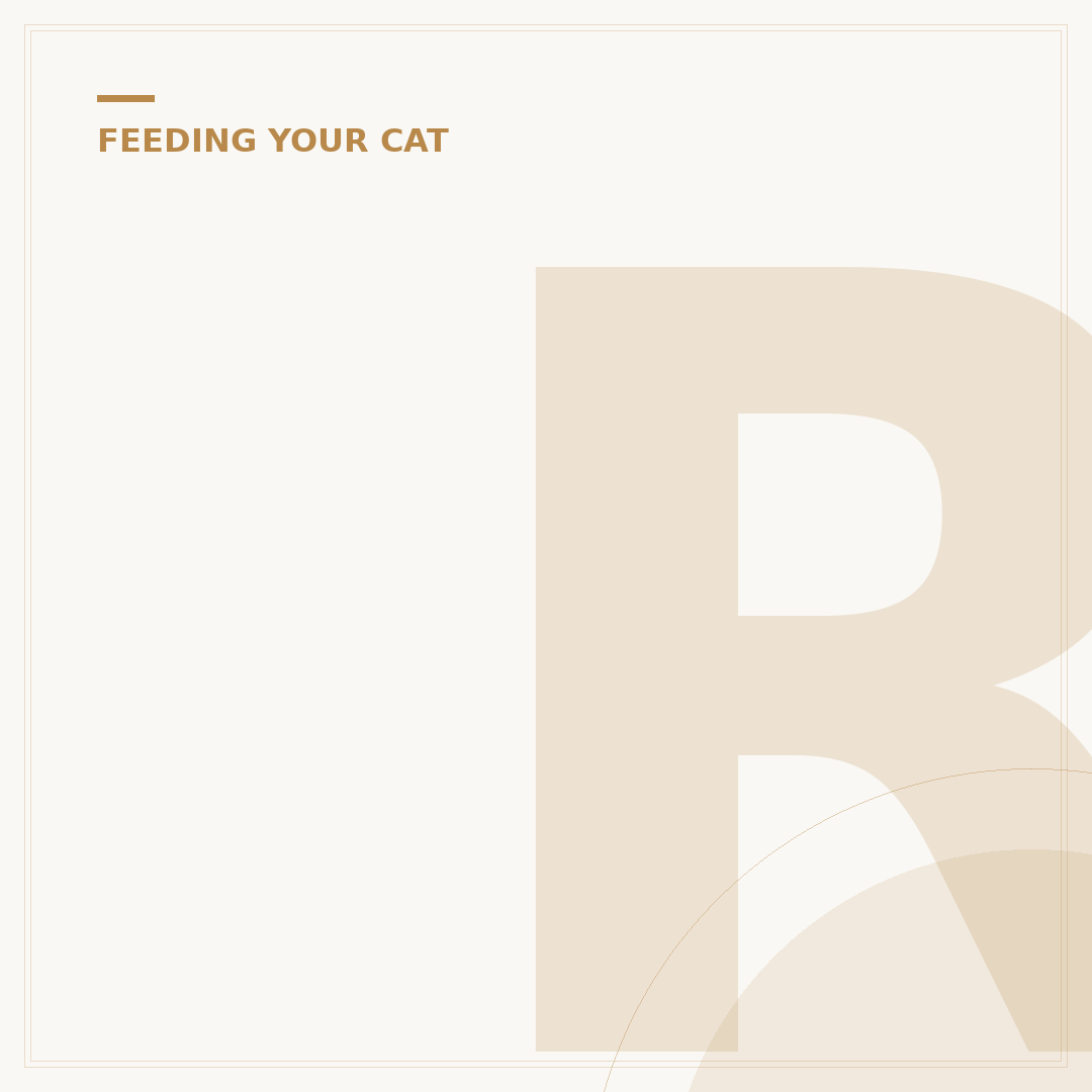 Raw Food Diet for Cats