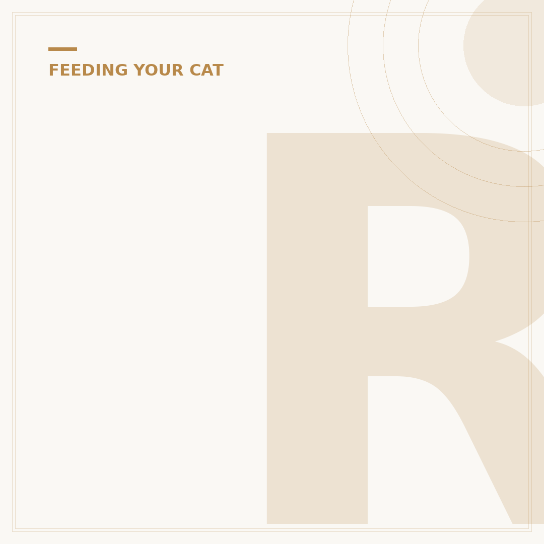 Raw Kitten Food UK