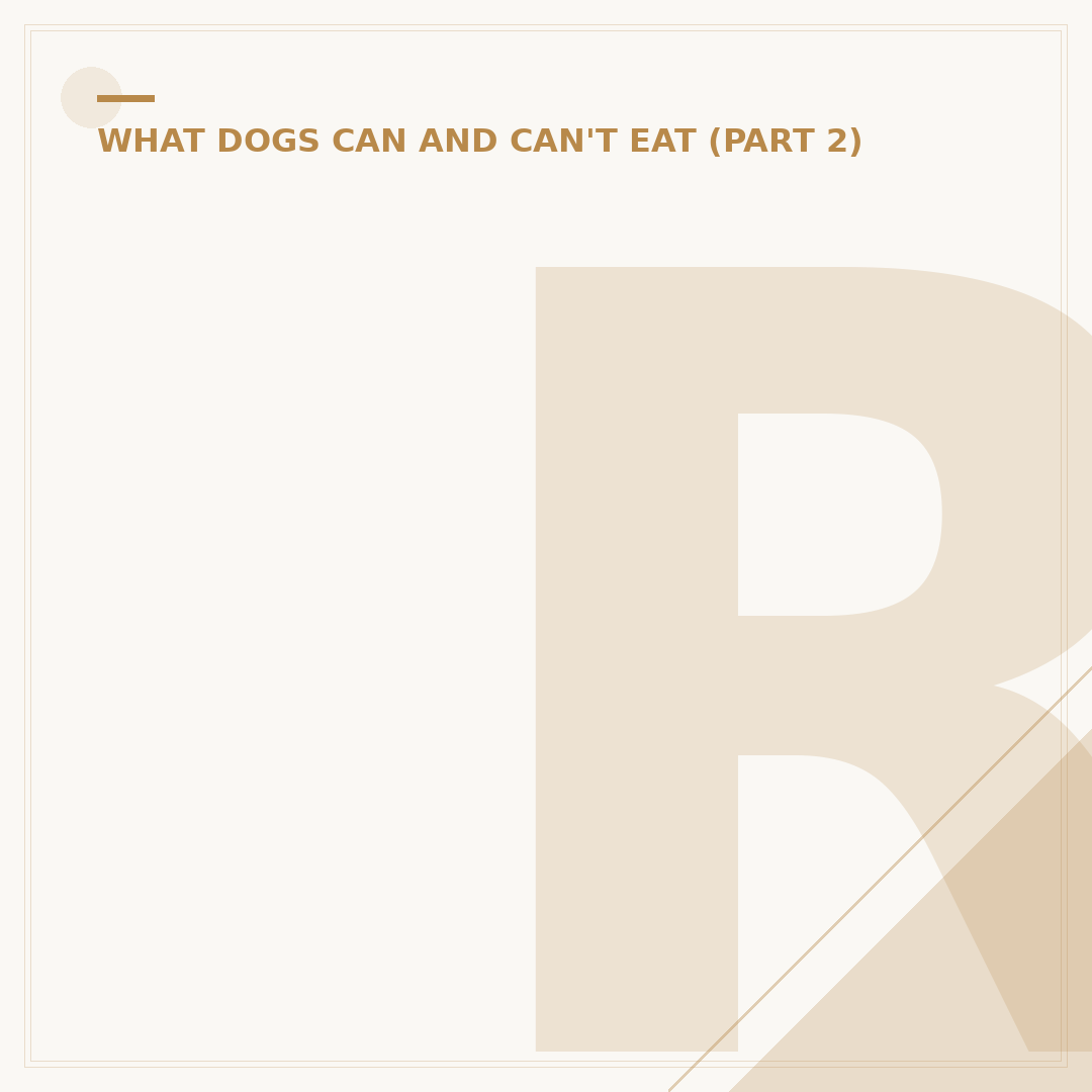 Raw Meat for Dogs: Pros, Cons and Safety