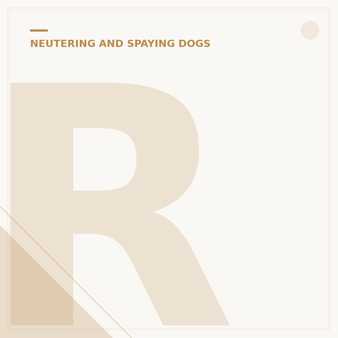 Reasons Not to Neuter Your Dog UK: What to Consider