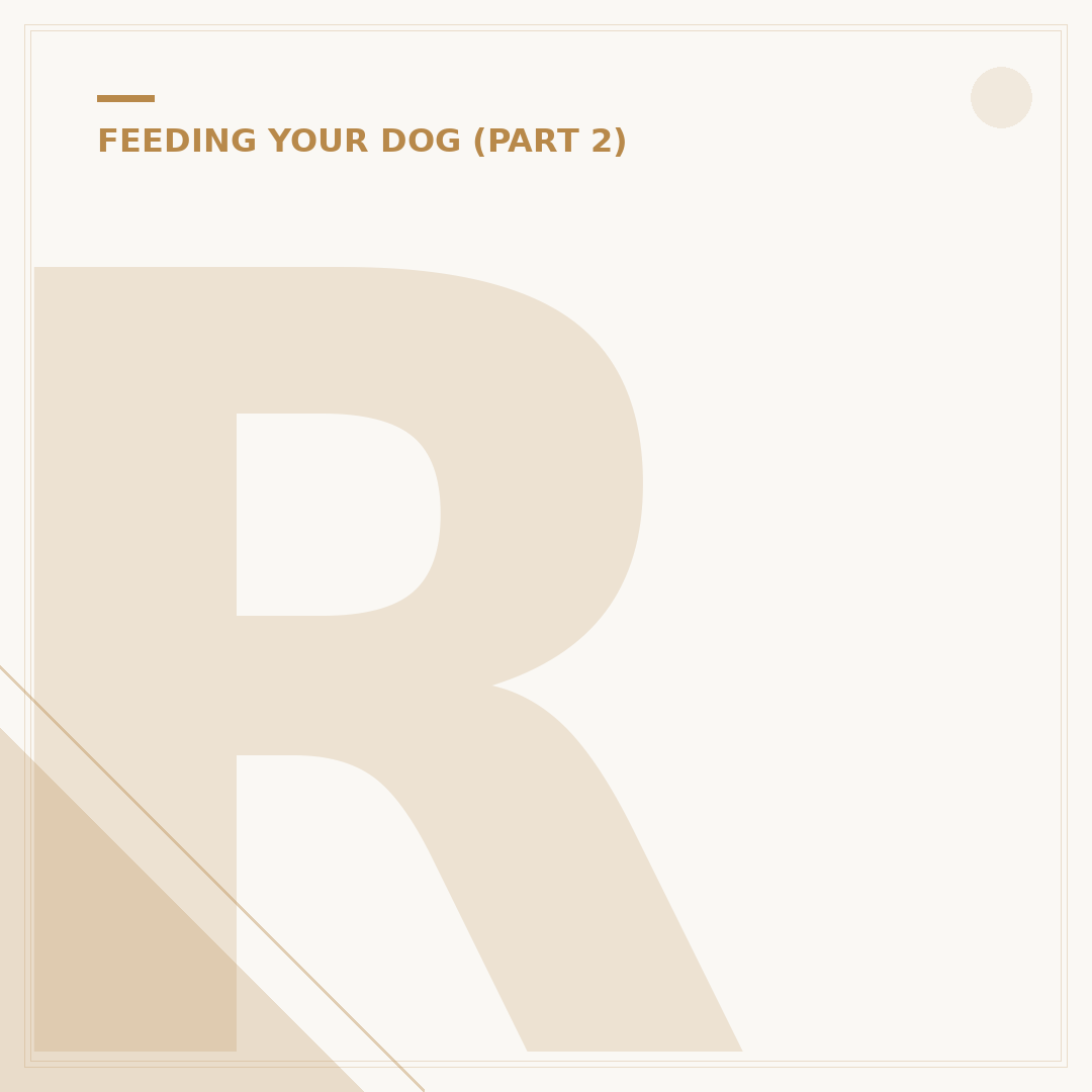 Recommended Puppy Food UK: Choosing the Right Diet