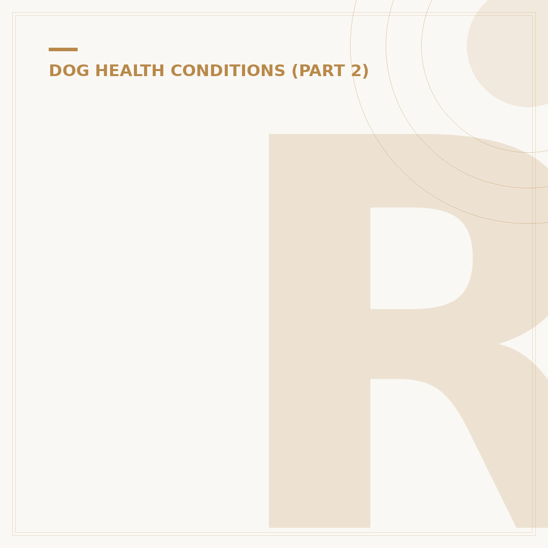 Recovery Suit for Dogs: Post-Op Care and Comfort