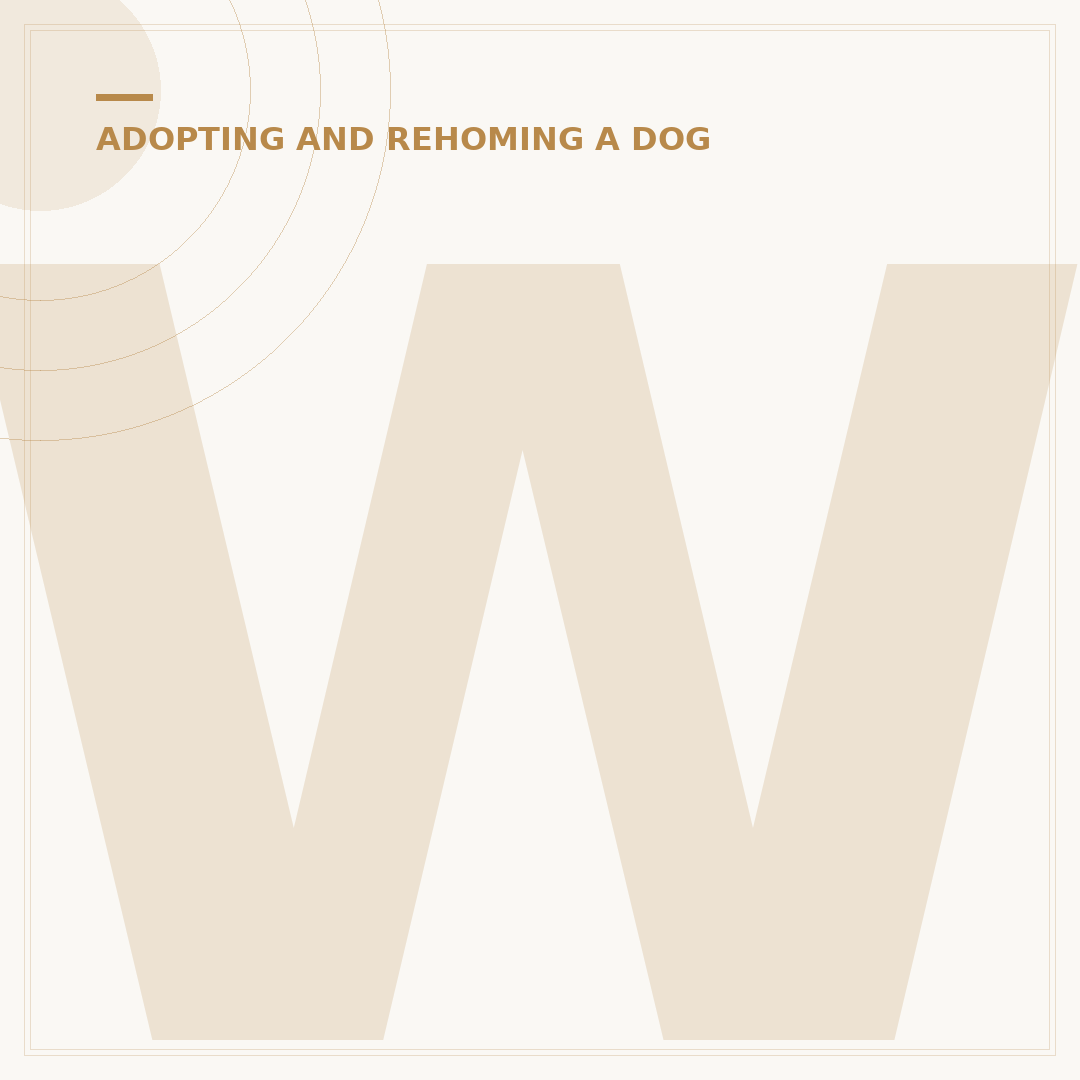 Where Can I Rehome My Dog Safely?