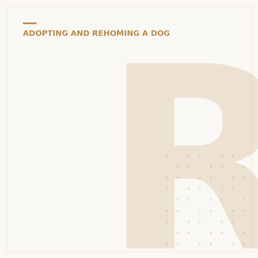 Rehoming a Dog That Has Bitten UK: What to Consider