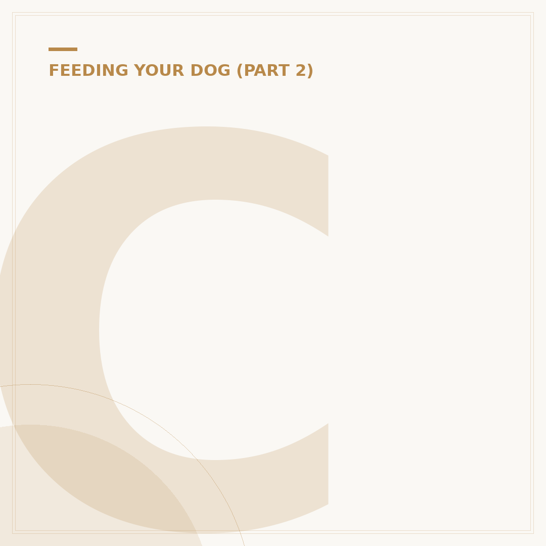 Calming Dog Treats: Help Your Canine Companion Relax