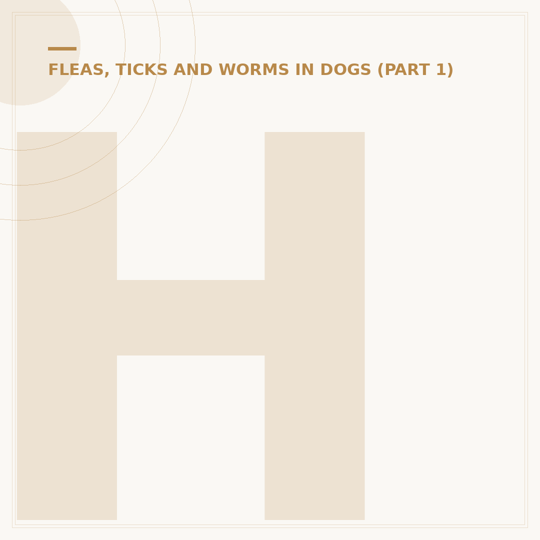 How to Remove a Tick From a Dog Safely