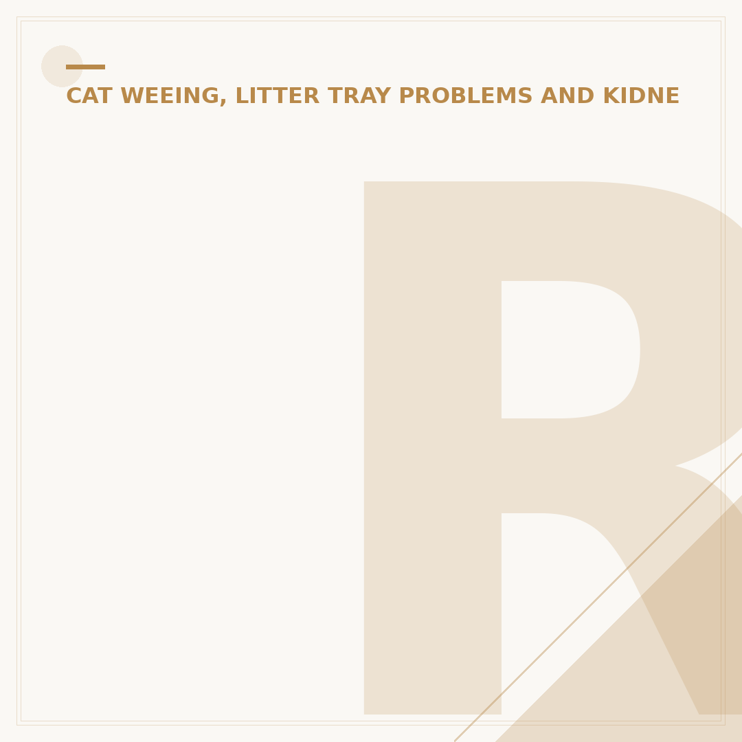 Removing Cat Pee Odour and Stains Effectively