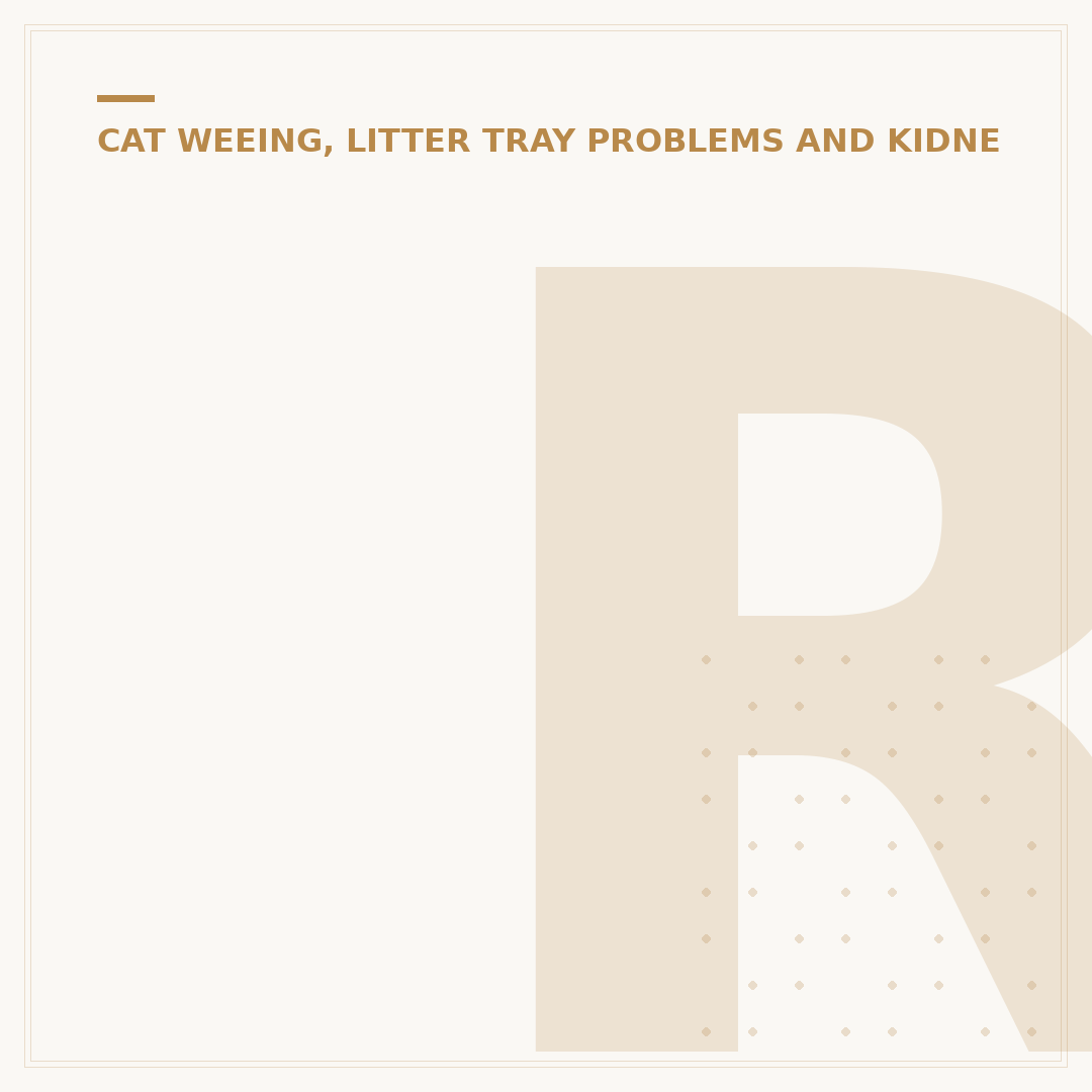 Renal Cat Treats: Supporting Kidney Health