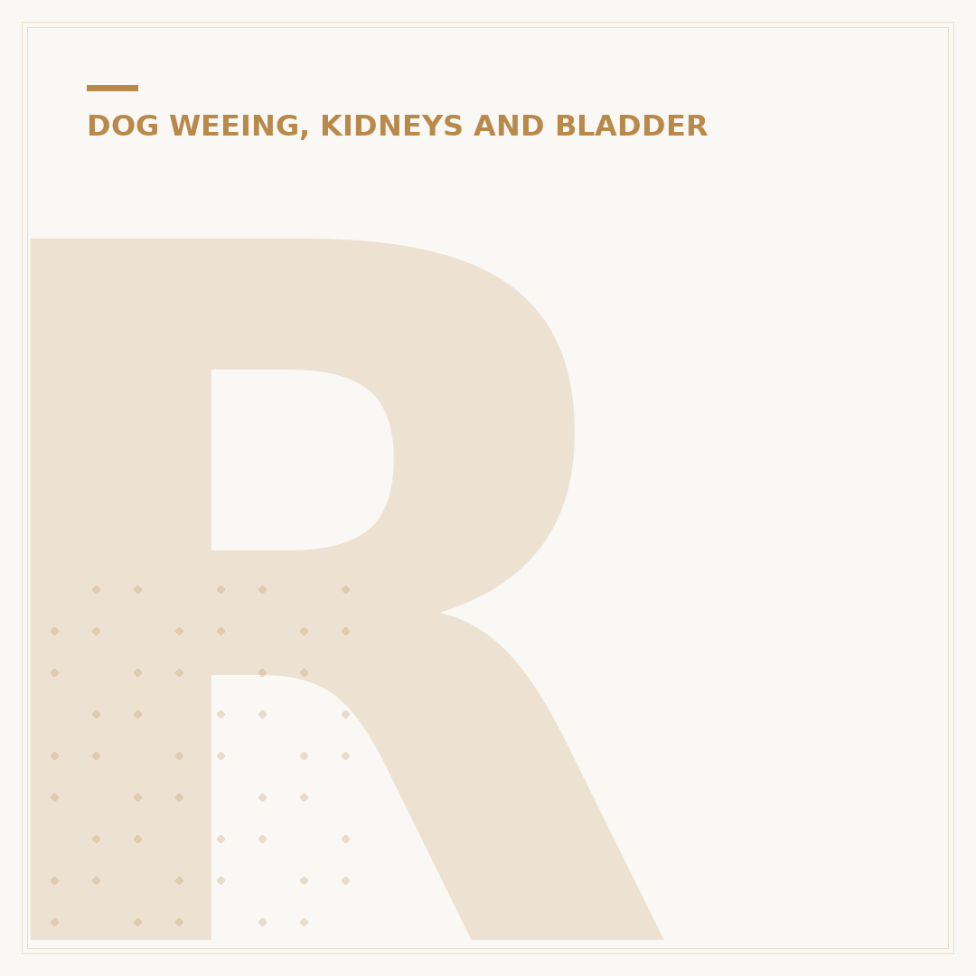 Renal Diet for Dogs