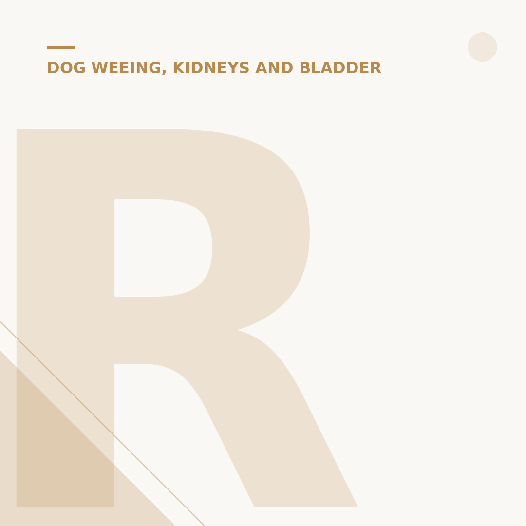 Renal Dog Treats: Supporting Kidney Health