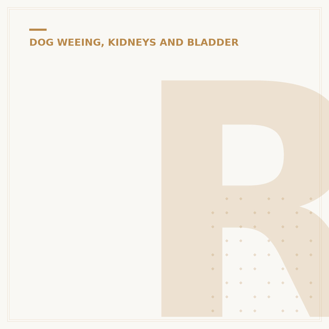 Renal Dysplasia in Puppies: What You Need to Know