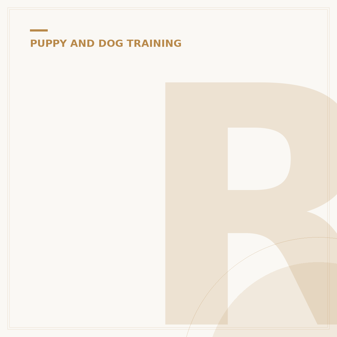 Residential Dog Training: Solutions for Behavioural Issues