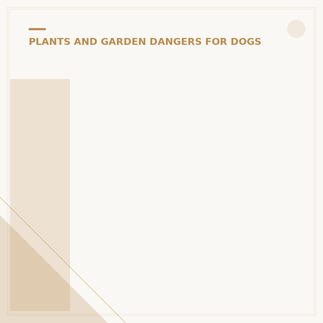 Is Rhubarb Plant Poisonous to Dogs? What Owners Must Know