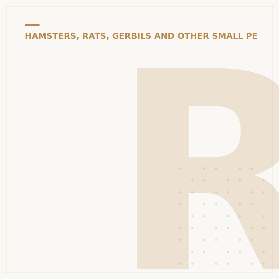 Richard Gere Gerbil: What You Need to Know