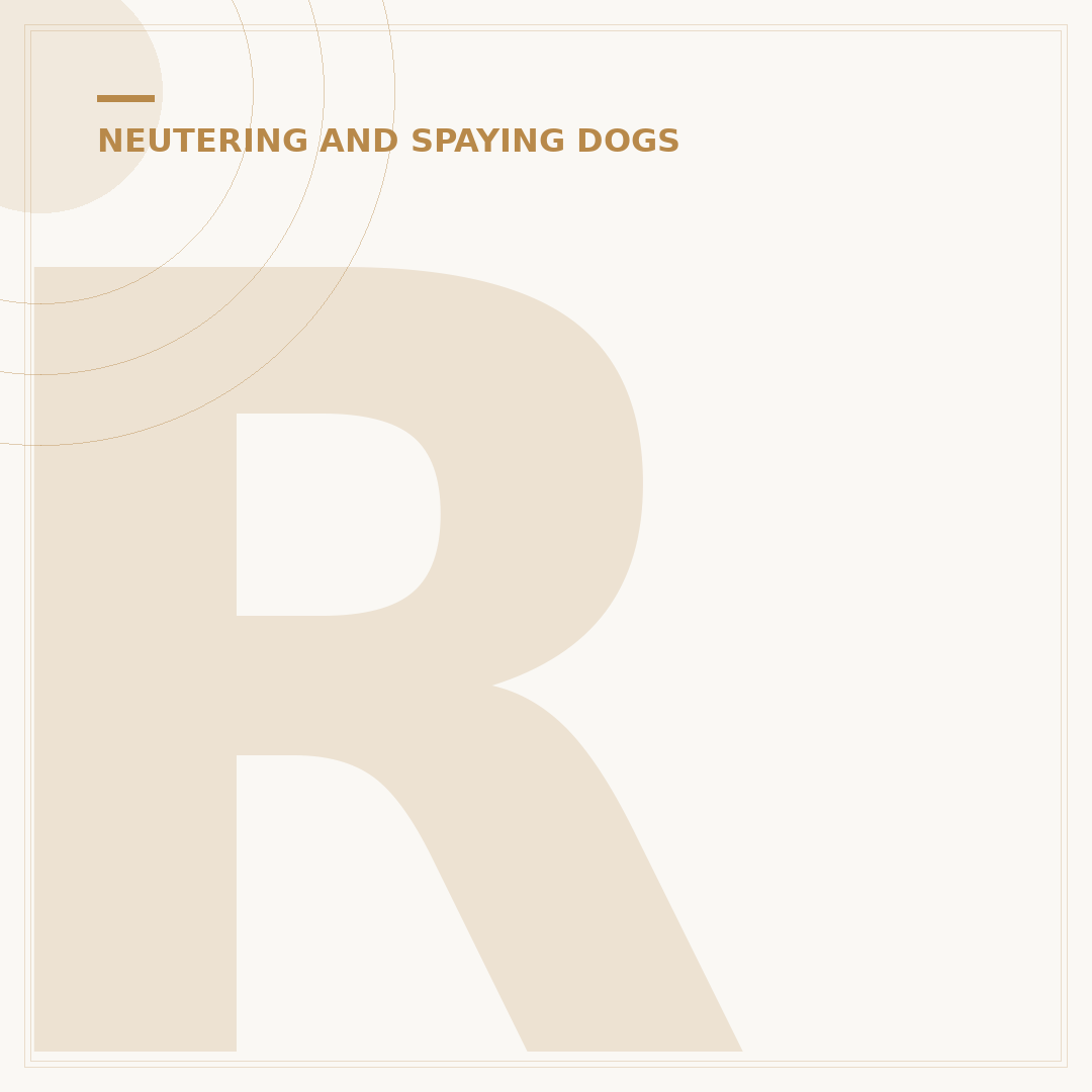 Right Age to Neuter a Dog: When and Why