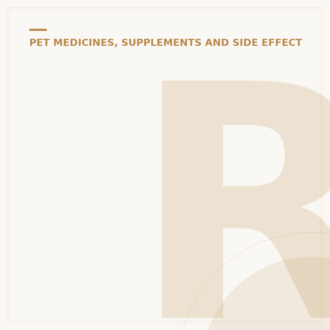 Rimadyl for Dogs: Pain Relief and Inflammation