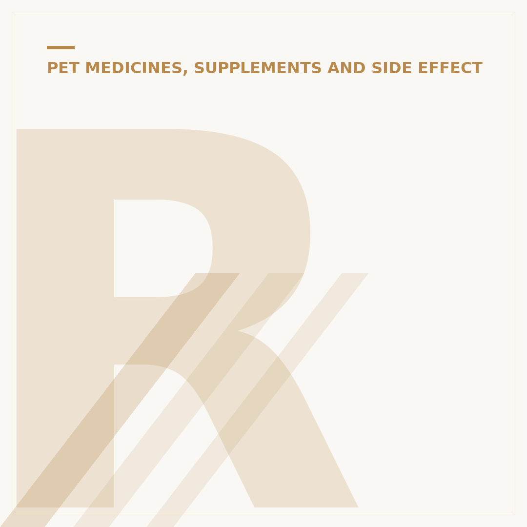 Rimadyl Side Effects in Canines