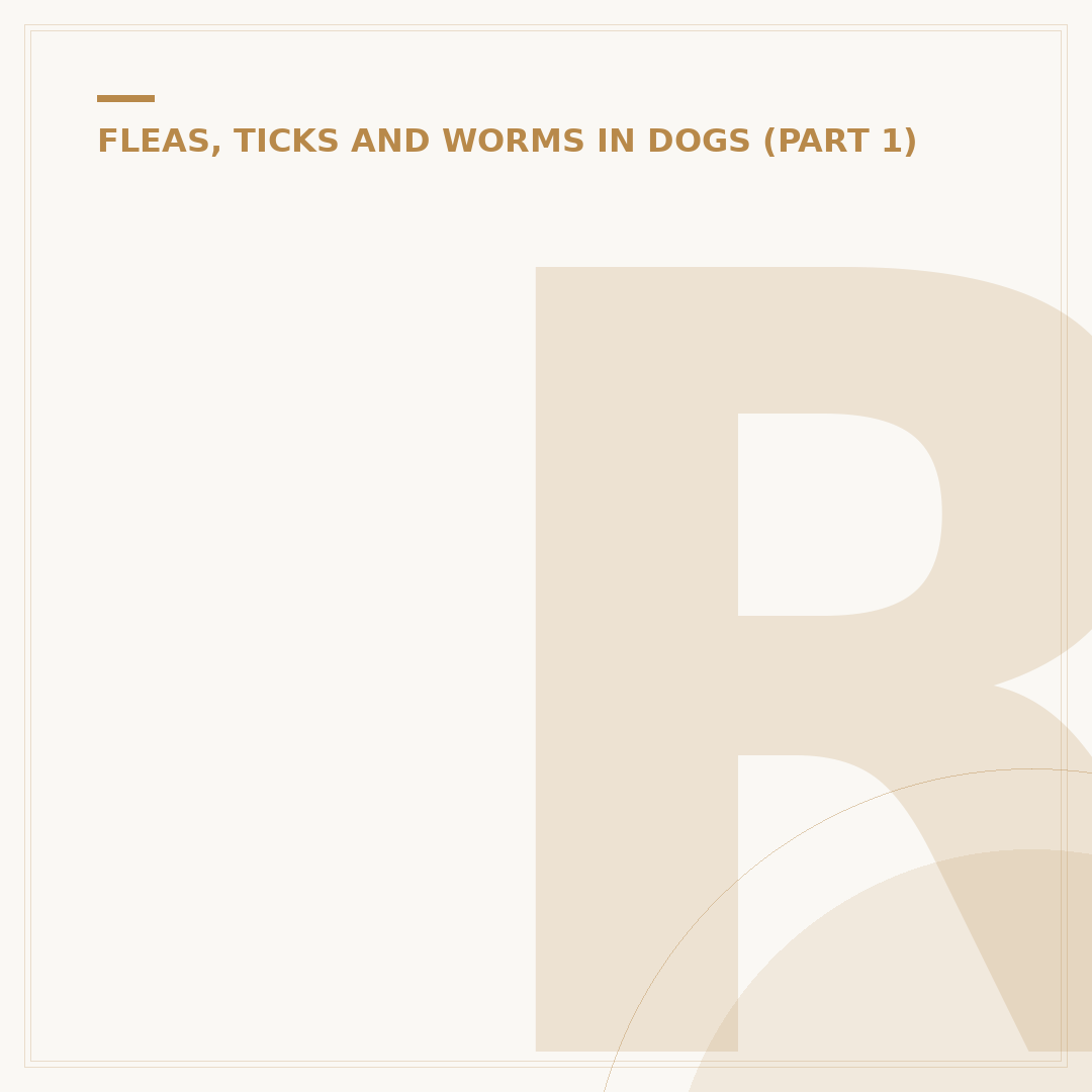 Ringworm in Puppies: Treatment and Care