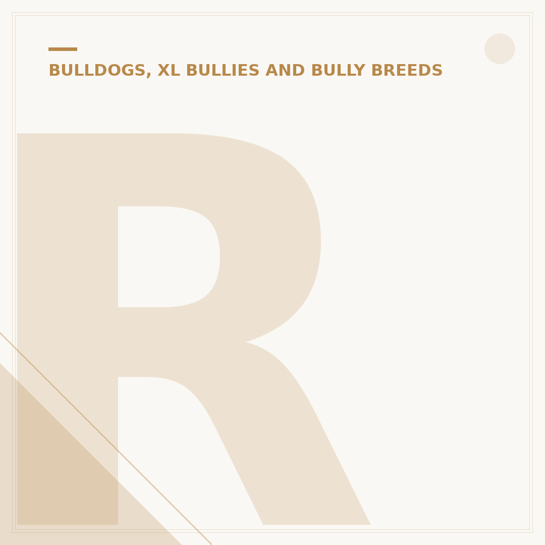 Rottweiler Aggression: Understanding and Managing Behaviour