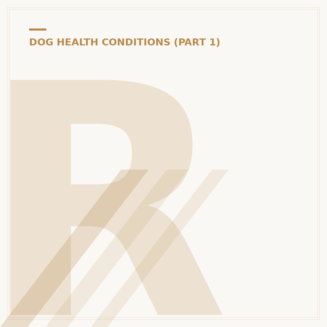 Royal Canin Diabetic Dog Food: What You Need to Know