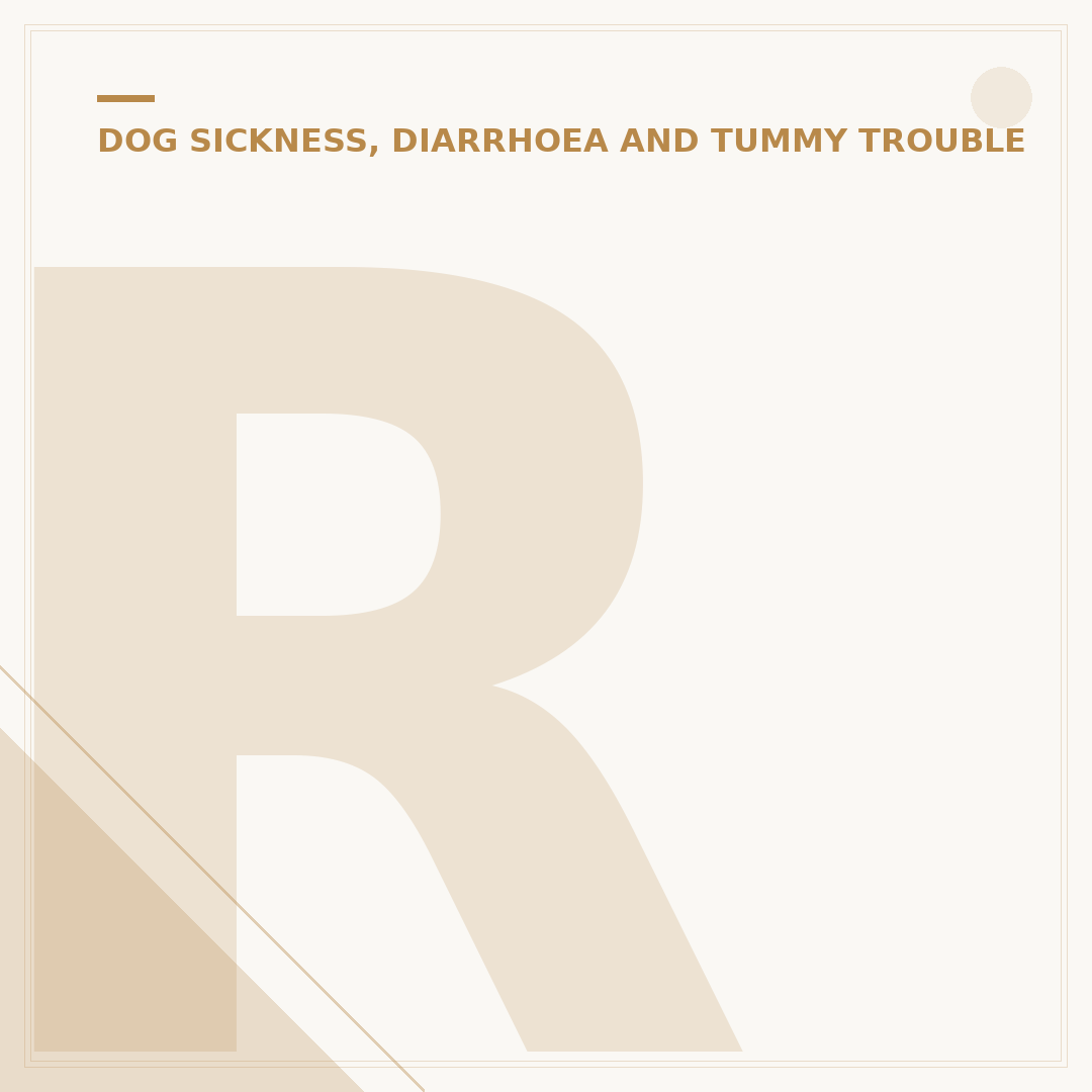 Royal Canin Low Fat Gastro Dog Food