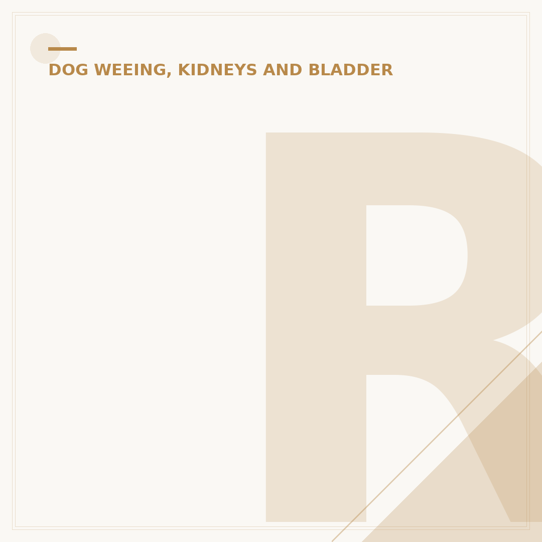 Rug Cleaner for Dog Pee: Tackle Stains & Odours