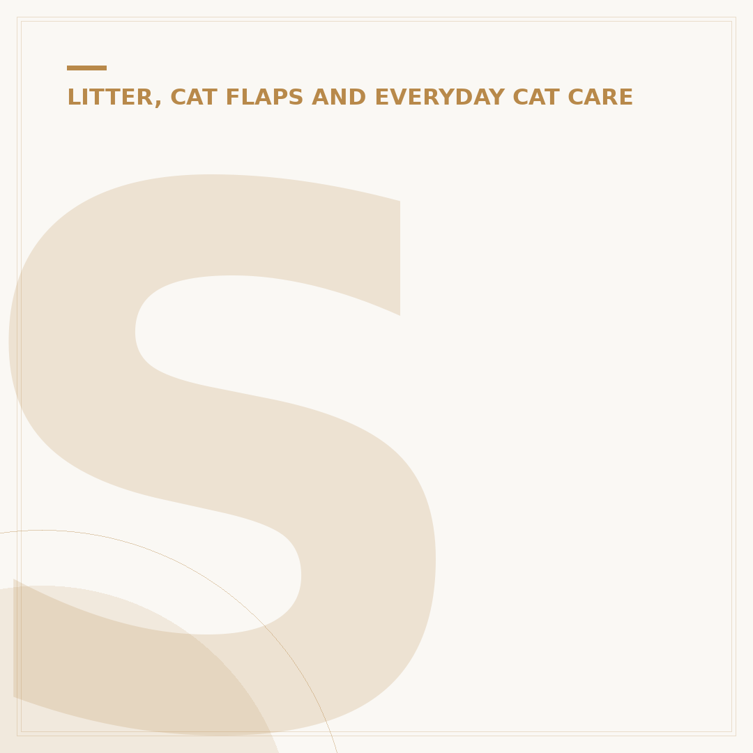 Safe Cat Collars: Key Safety Features Explained
