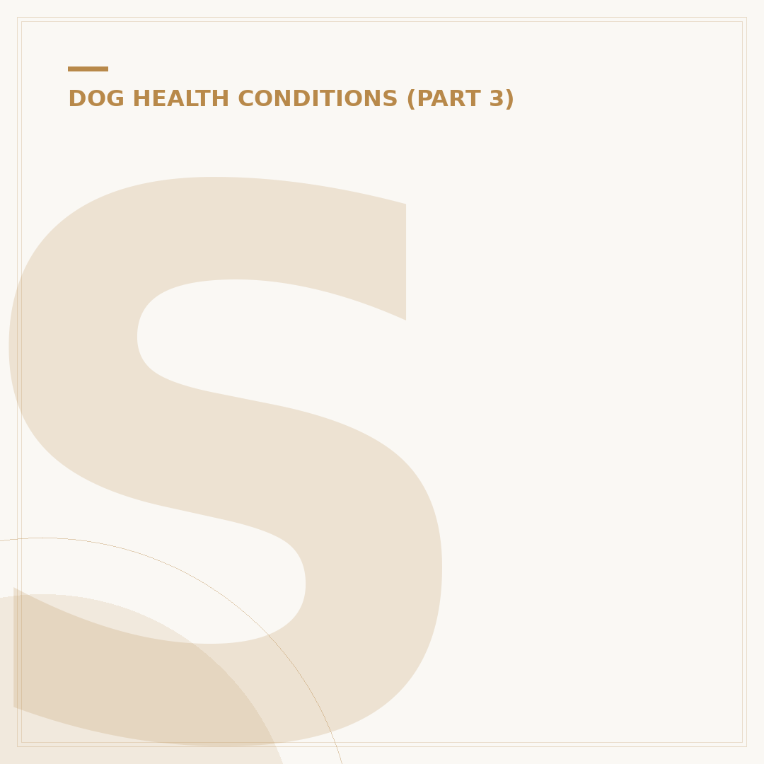 Salmonella Infection in Dogs: Symptoms and Care
