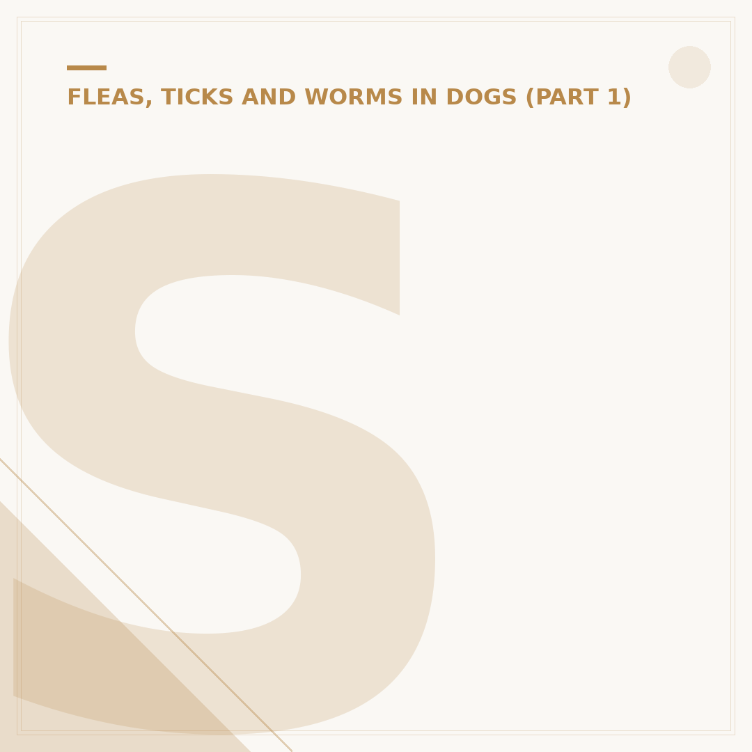 Sand Fleas: Identification and Control for Pets