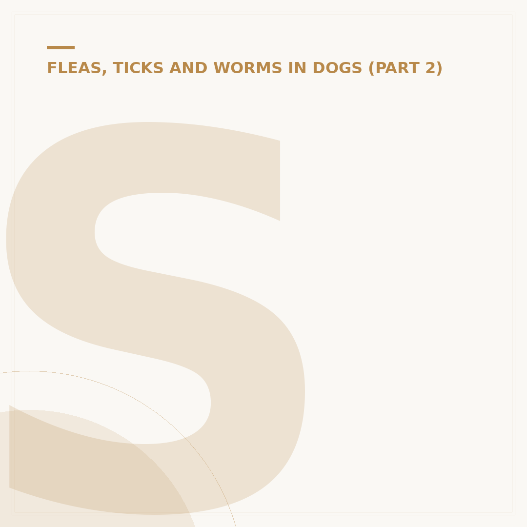 Sarcoptic Mange in Dogs: Symptoms & Treatment