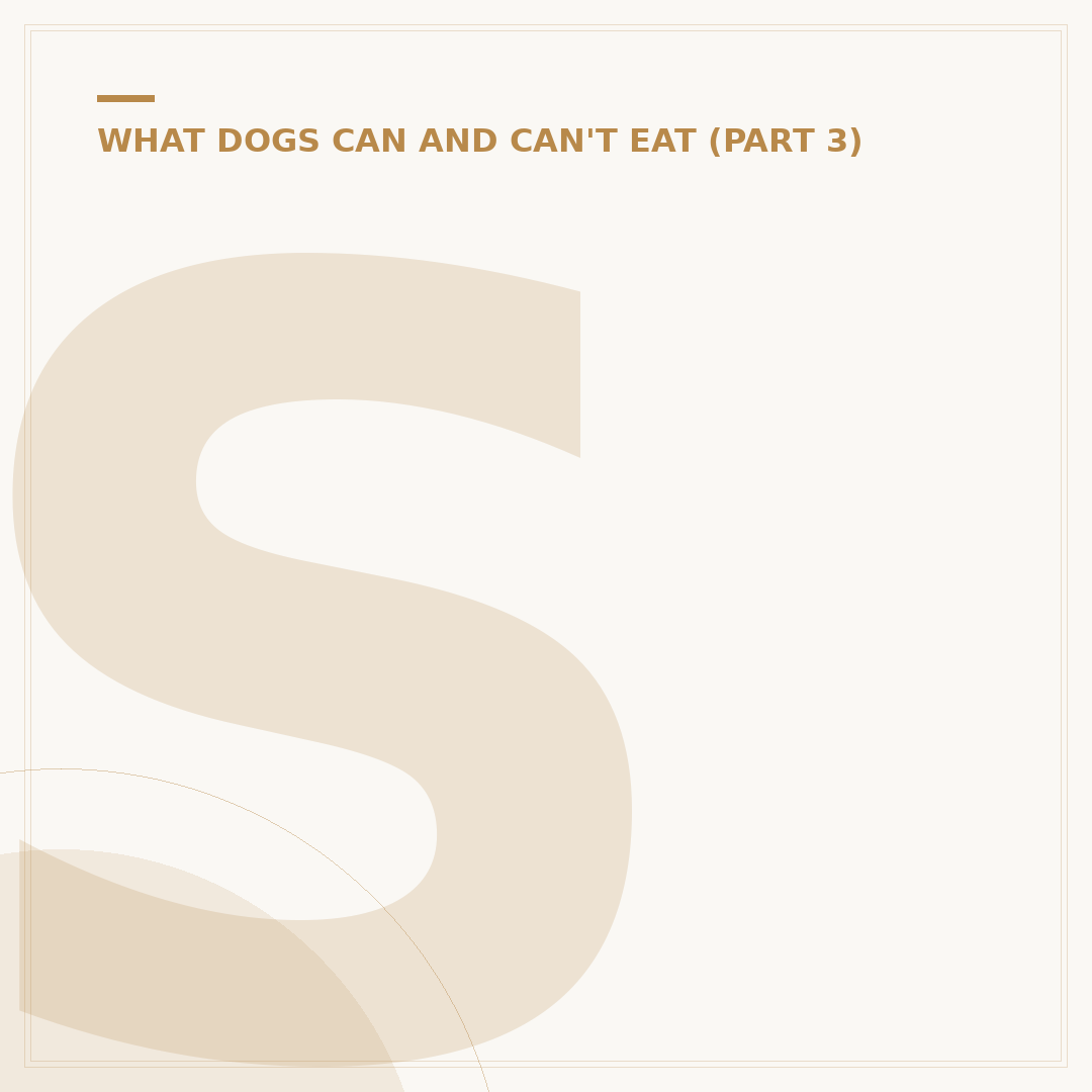 Scrambled Eggs for Dogs: Safe Preparation & Benefits
