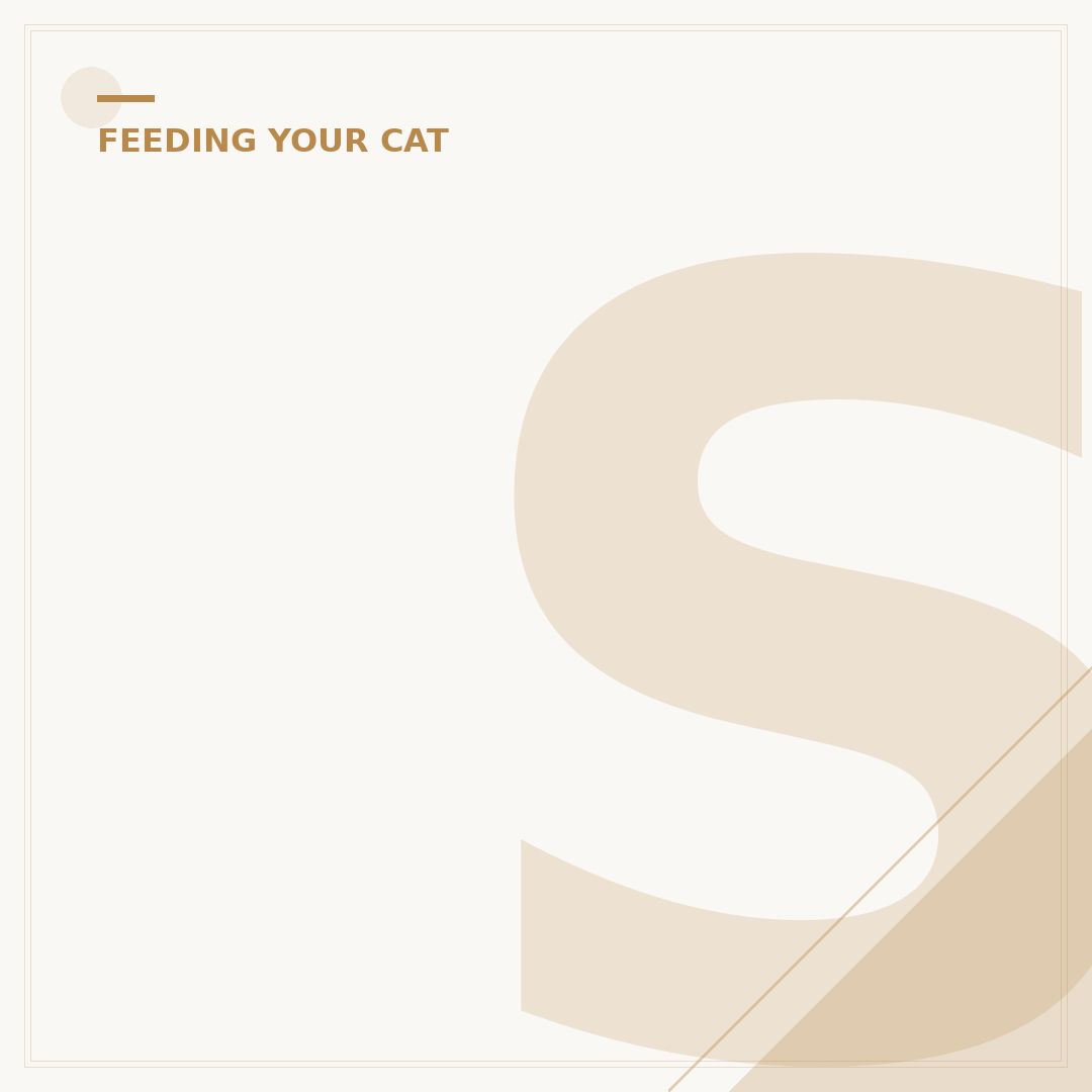 Scrumbles Kitten Food: What Your New Cat Needs