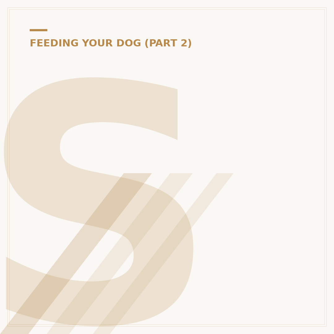 Scrumbles Puppy Food: What You Need to Know
