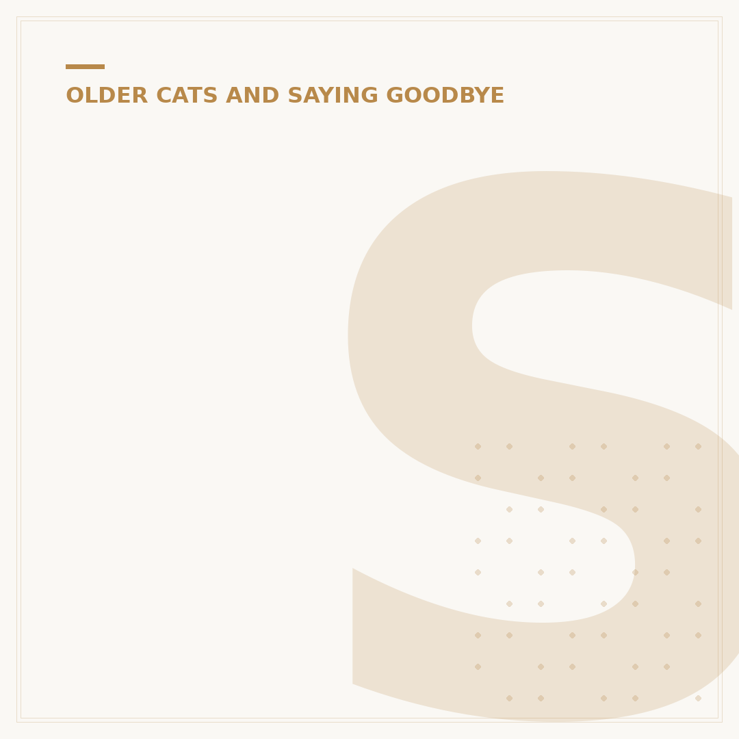 Senior Cat Diarrhea: Causes, Treatments & Care