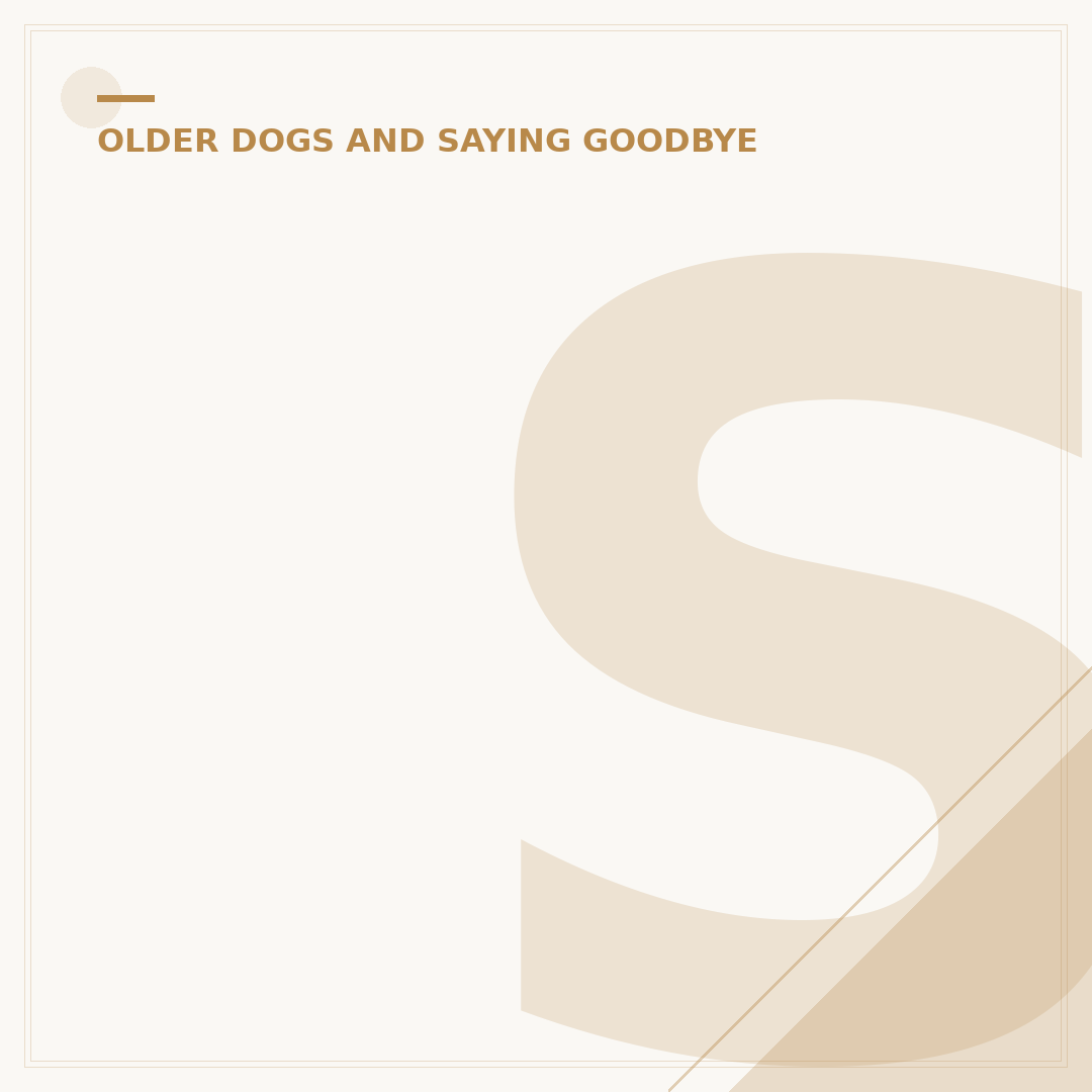 Senior Dog Diet: Feeding Your Older Canine Companion