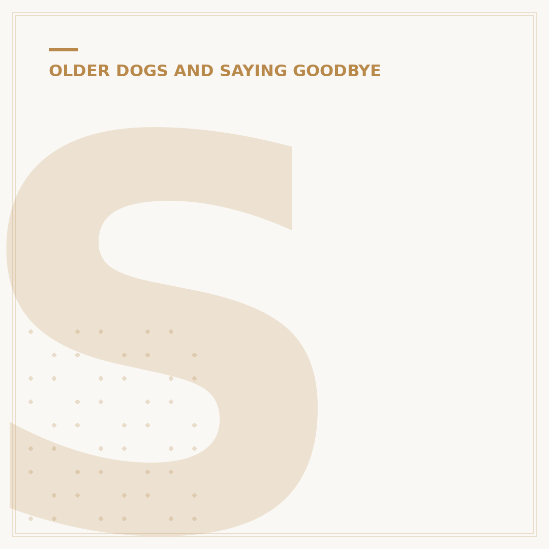 Senior Dog Food For Sensitive Stomach Explained