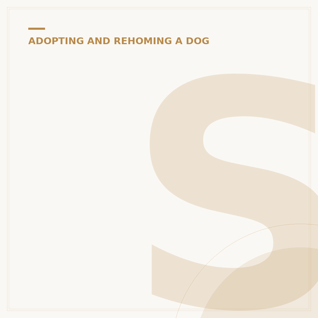 Senior Dog Rescue: Adopting Older Dogs